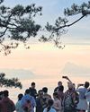 Cable car project slated for 202756