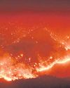 World's forests going up in flames21