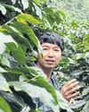 Speciality coffee prospects brewing nicely Speciality coffee prospects brewing nicely55