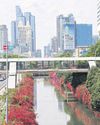 Building safety a priority for office tenants Building safety a priority for office tenants52