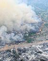 Forests vanish as temperature-fuelled fires surge Forests vanish as temperature-fuelled fires surge35
