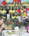 How fruit prices soured for farmers44