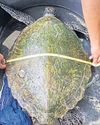 Myanmar ship hits reef in marine park Myanmar ship hits reef in marine park