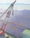 Shape of new climate politics emerges31