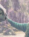 How To Train Your Dragon tops N. America box office79