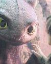THE RETURN OF HICCUP AND TOOTHLESS85