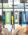 India's biofuel drive pecks at chicken farmers' profits28