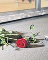 Sweden jails four men in killing of rapper75