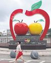 S Korea apples feel tariff heat55