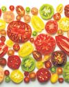 SAVOUR SANDWICHES, SOUPS, SALSA60