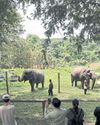 World-class ethical elephant sanctuary opens in Phitsanulok83