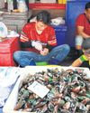 Chamber proposes quick labour measures Bangkok Post
