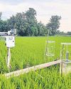 Tech to transform rice farming71