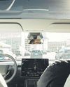 Tesla Robotaxis lagging on US roads64