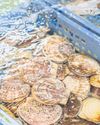 How a Japanese scallop became a trade pawn38