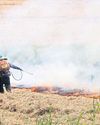 Ministry wants to reduce agricultural burning by 15%58