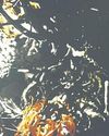 Ancient cave art meets cinema in a multisensory journey at Singapore Biennale 202551