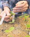 US aid cuts put world’s food at risk69