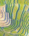 New land appraisal prices to have limited impact51