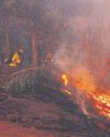 Blaze victims plead for help from razed neighbourhoods22