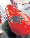 The rise and fall of a German sports icon66