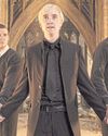 Harry Potter villain emerges as unlikely Lunar New Year symbol37