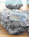Greenland mining industry welcomes next generation63
