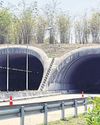 Overpass for wildlife 'a success'20