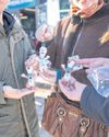 PRECIOUS PLUSHIES30