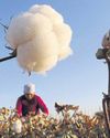 Globalisation faces its next crisis50