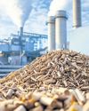 Sugar cane demand poised to rocket52