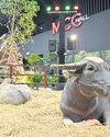 Bangkok Post