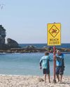 Australia beach reopens after shark attack Australia beach reopens after shark attack23