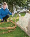 Scots teen finds WWII fighter plane buried in his back garden Scots teen finds WWII fighter plane buried in his back garden