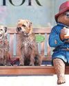 Needled Paddington fan's tattoo tribute Needled Paddington fan's tattoo tribute