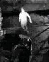 Thief gets the chop... Thief gets the chop...