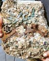 WW1 gun and bullets are found in concrete WW1 gun and bullets are found in concrete