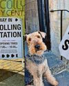 Dogged by Reform, the Tories need to do a good deal fast14