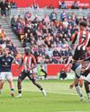 BEES BUZZING IN EURO HUNT BEES BUZZING IN EURO HUNT53