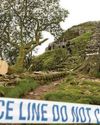 'It was just a tree' says Sycamore Gap accused 'It was just a tree' says Sycamore Gap accused