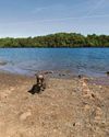 WARNING OVER WATER USE AMID DRIEST SPELL FOR 60 YEARS WARNING OVER WATER USE AMID DRIEST SPELL FOR 60 YEARS