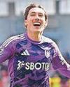 SUPERSUB HARRY IS SO HANDY WITH BEES SWATTED46