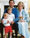 'Diana was astonishing, but a complicated figure'35