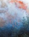 Flames shoot 50ft high as wildfires hit the Highlands6