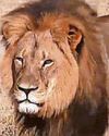 Joanna's anger at no trophy hunt ban19