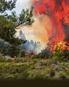 Highland wildfires now pose danger to human life10
