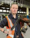 Well-trained hawk on station pigeon patrol46