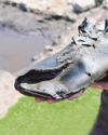 Found...sole survivor of a Roman giant41