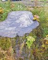 Cop's knowledge from forester dad helped snare duo3