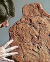 Handprint from ancient Egyptian found Scottish Daily Express